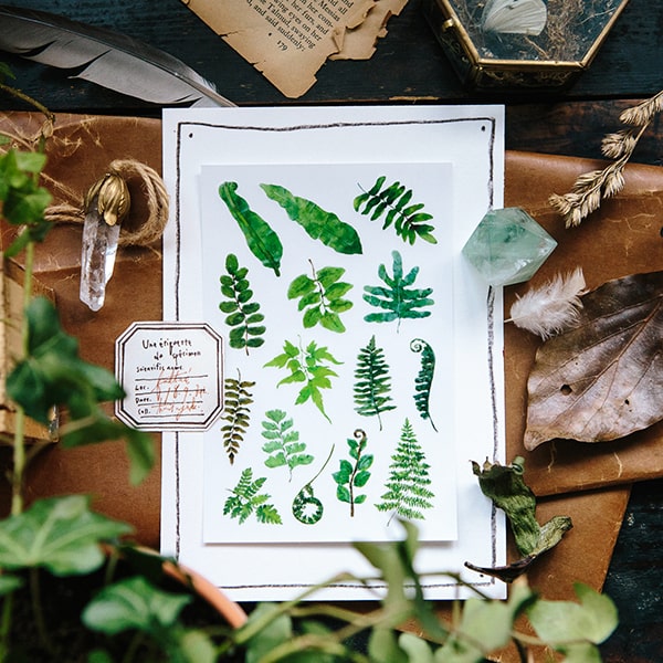 OURS Ferns Print On Sticker