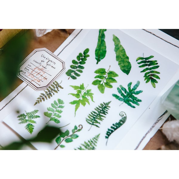 OURS Ferns Print On Sticker