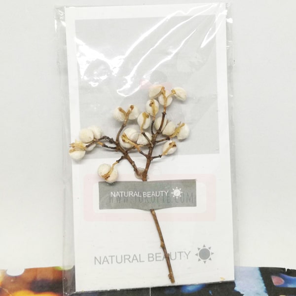 Natural Beauty Flower Card B