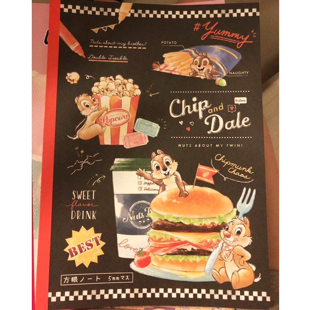 Disney B5 Grid Notebook Chip & Dale