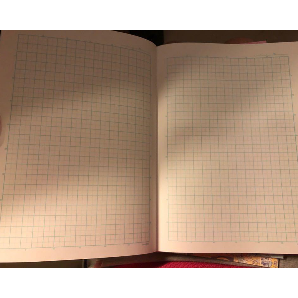 Disney B5 Grid Notebook Chip &amp; Dale