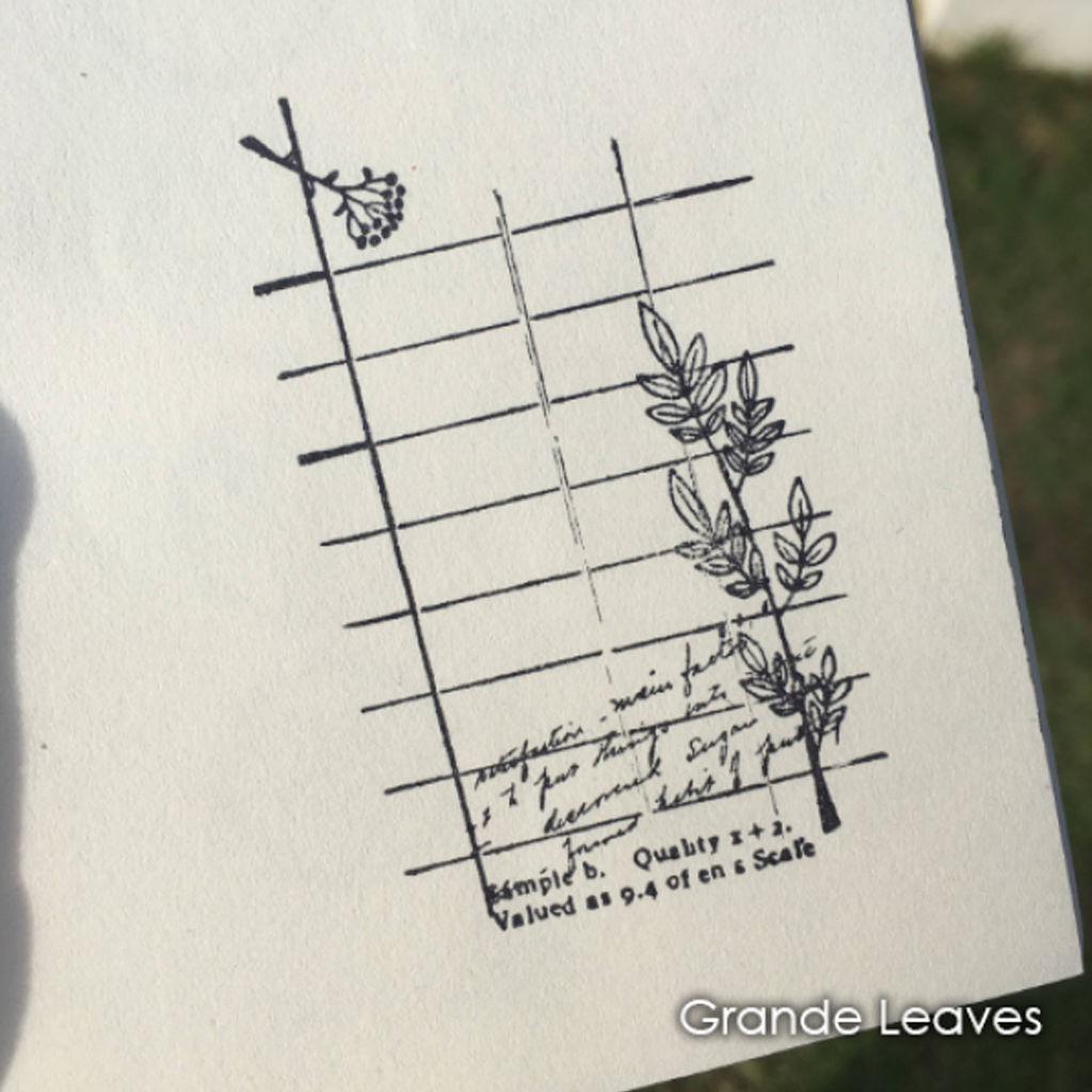 Craftioneries Rubber Stamp - Grande Leaves