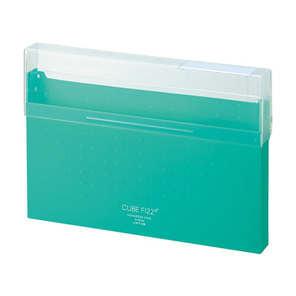 LIHIT LAB. CUBE FIZZ Congress Case File Case A4 Green