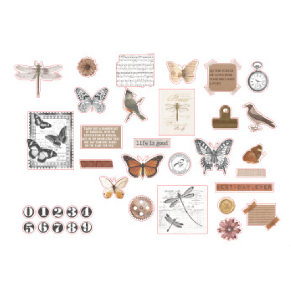 Simno A Time Remembered Flake Sticker Insect Specimen