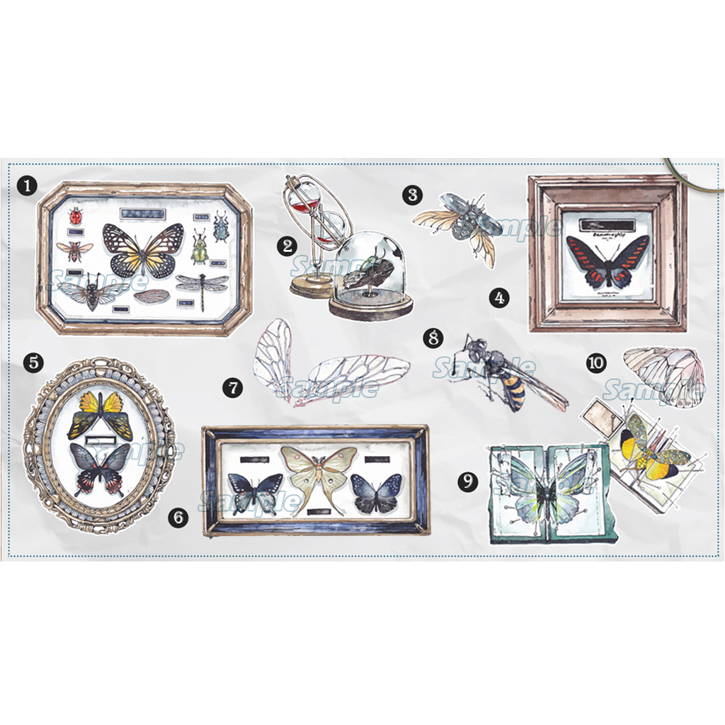 Lemontree Specimen Collector Flake Sticker - Insect