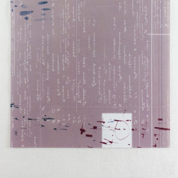 Chamil Garden Masking Sheet/Washi Paper Sticker - Kiku