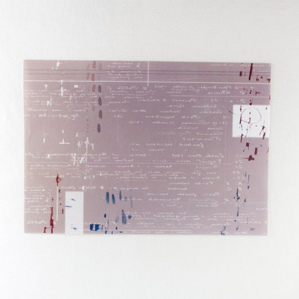 Chamil Garden Masking Sheet/Washi Paper Sticker - Kiku