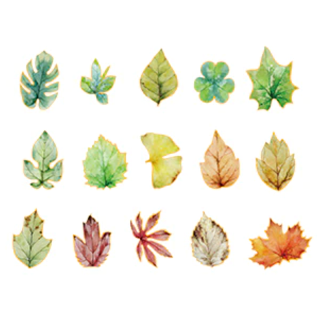 Cardlover Leaf Deco Flake Sticker