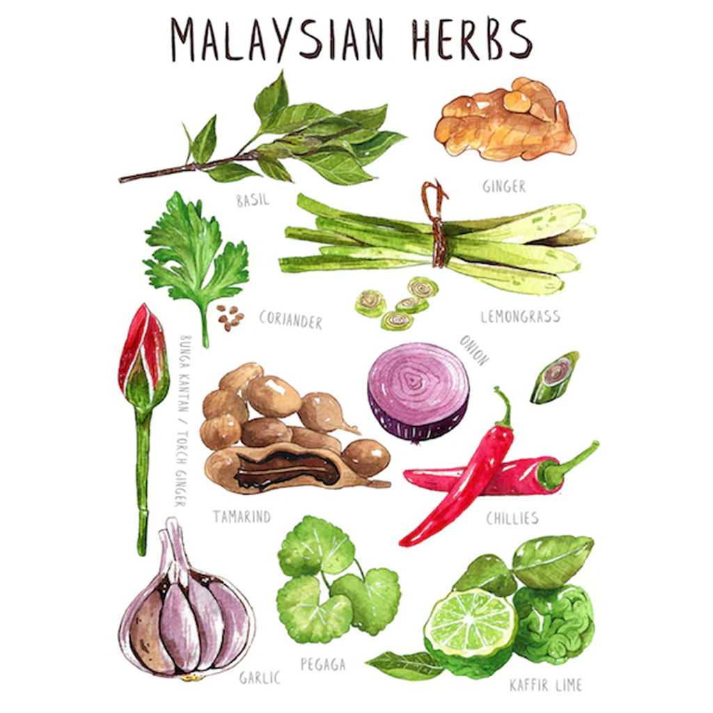 Malaysian Herbs Sticker