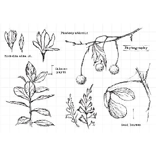 Clear Stamp Moodtape Vol.2