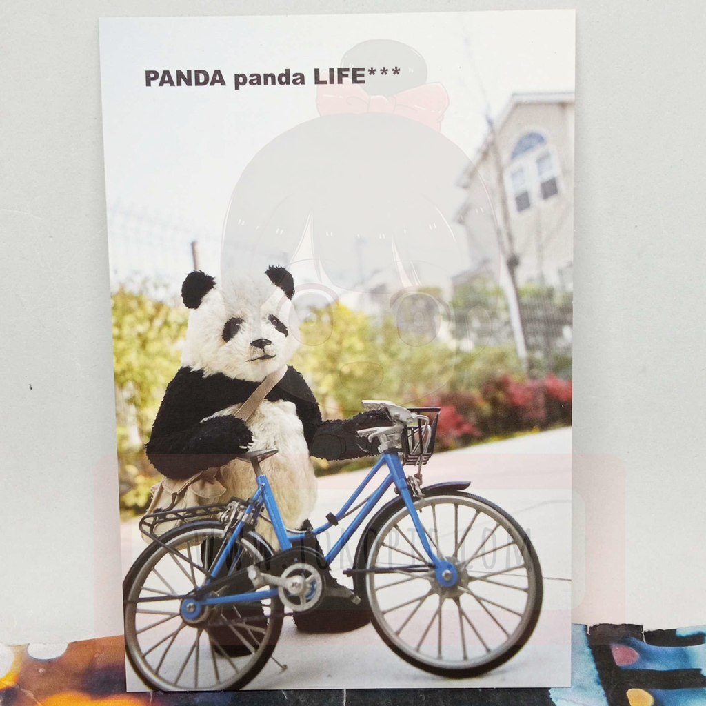 Panda Life To The Next Town Postcard