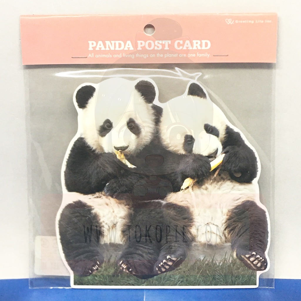 Greeting Life Panda Couple Postcard