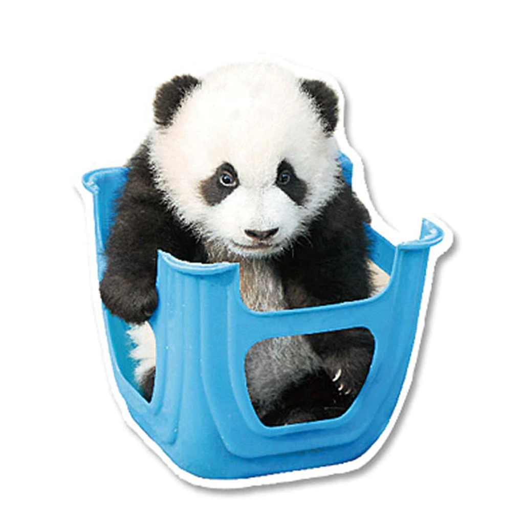 Greeting Life Panda In Chair Postcard