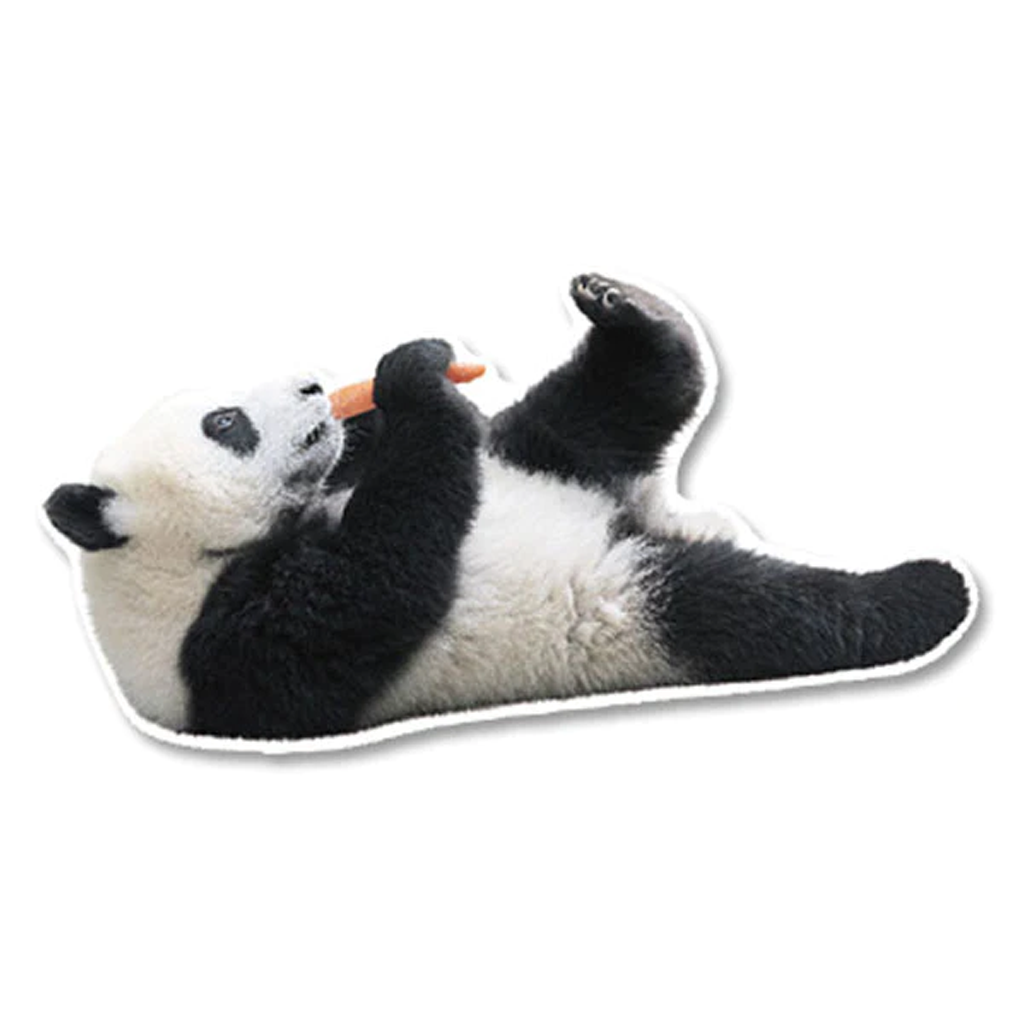 Greeting Life Panda Postcard