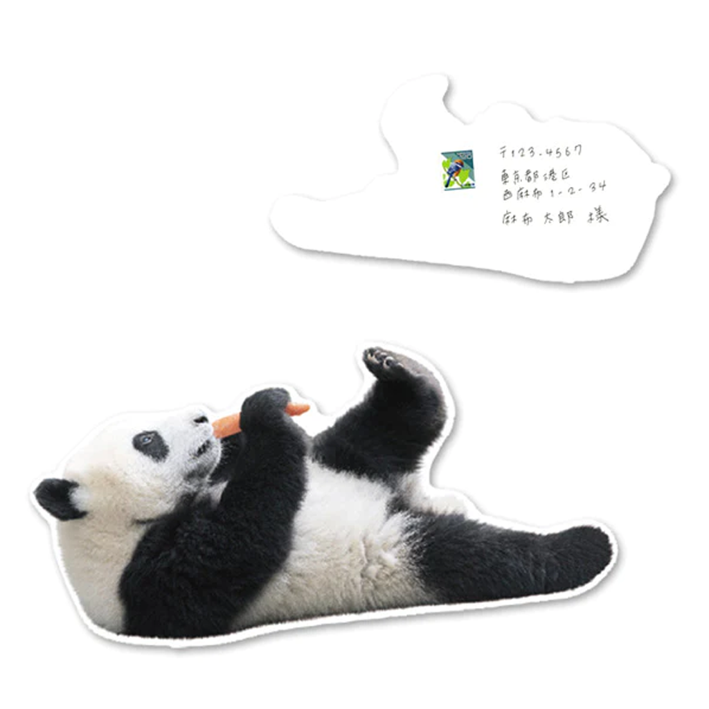 Greeting Life Panda Postcard