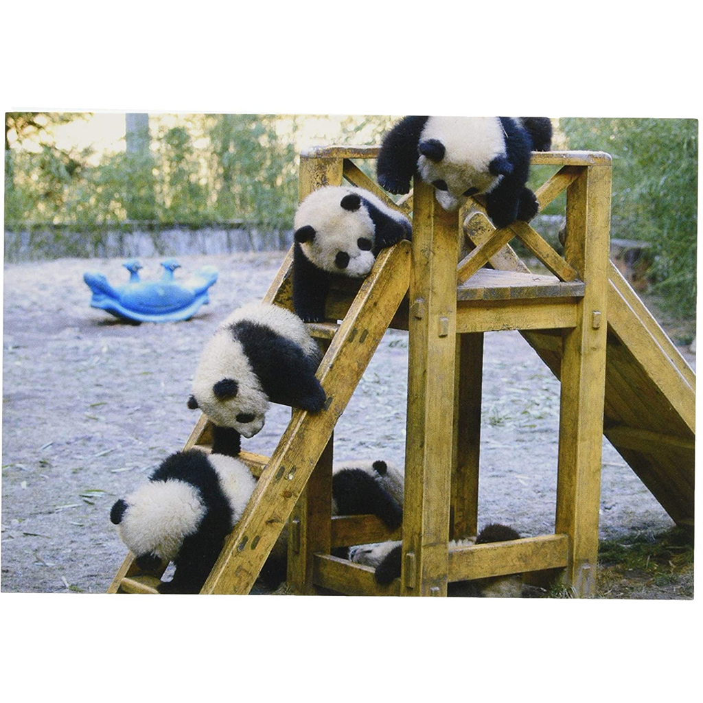 Pinup Japan Post Card Panda Slide