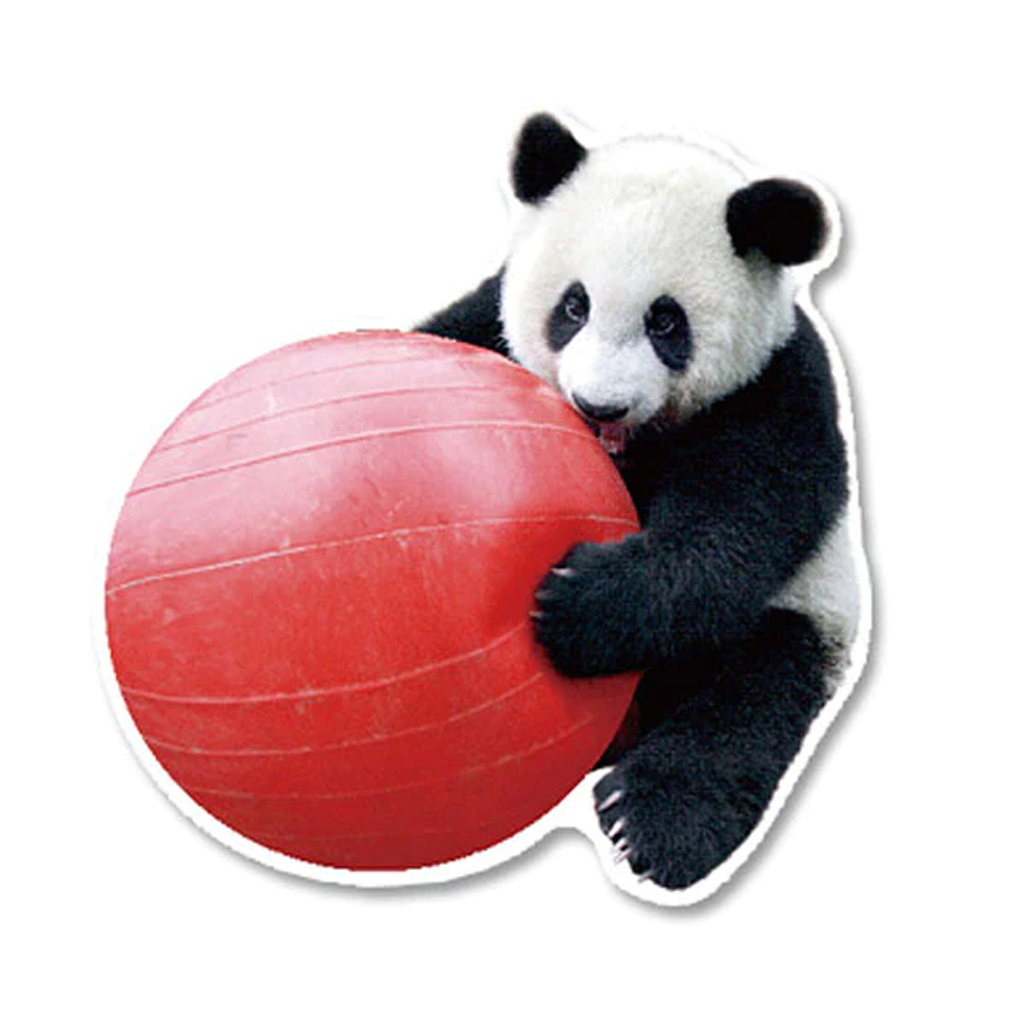 Greeting Life Panda With Ball Postcard