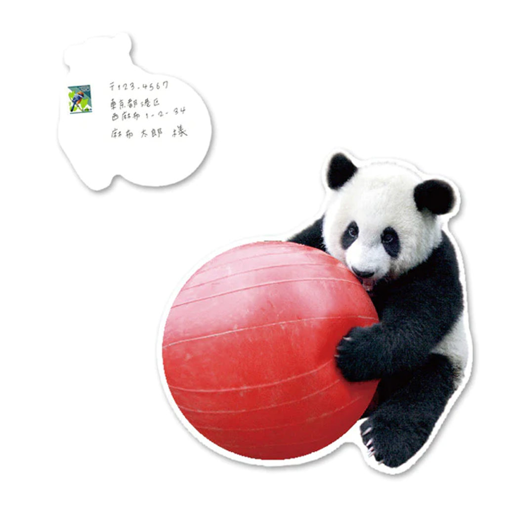 Greeting Life Panda With Ball Postcard
