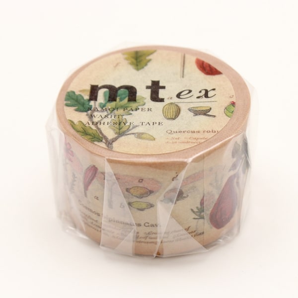MT Masking Tape Picture Book/Plant