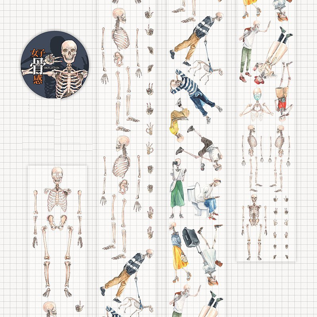 Monchiichen PET Skeleton Washi Sampler
