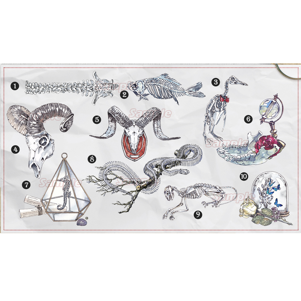 Lemontree Specimen Collector Flake Sticker - Skeleton