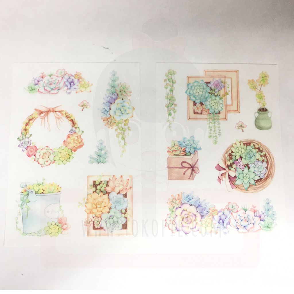 Succulent Plant Decorative Sticker