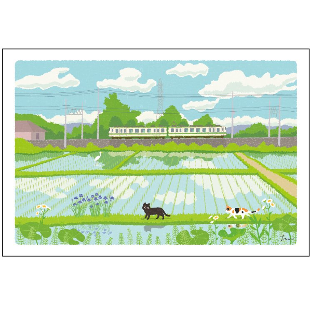 Active Corporation Summer Cat Postcard