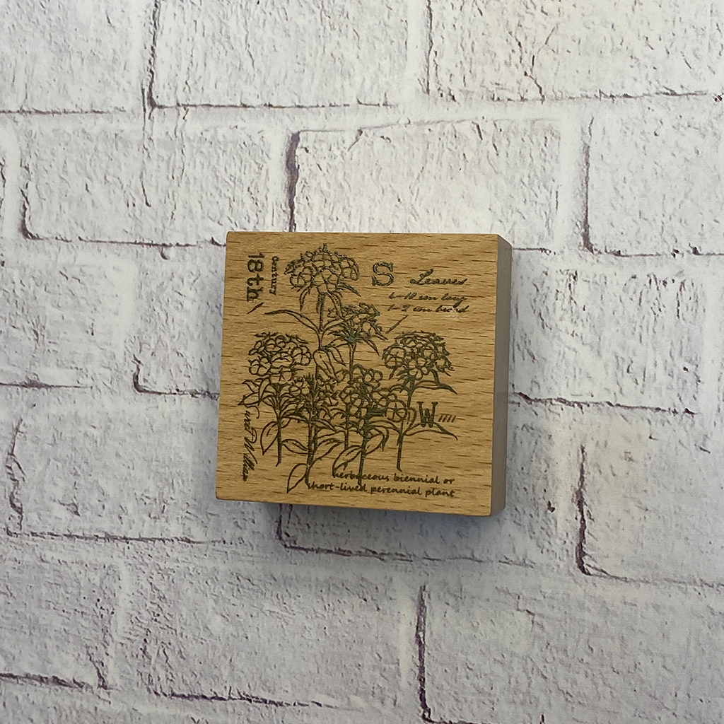 Yowoo Studio Rubber Stamp - Sweet William