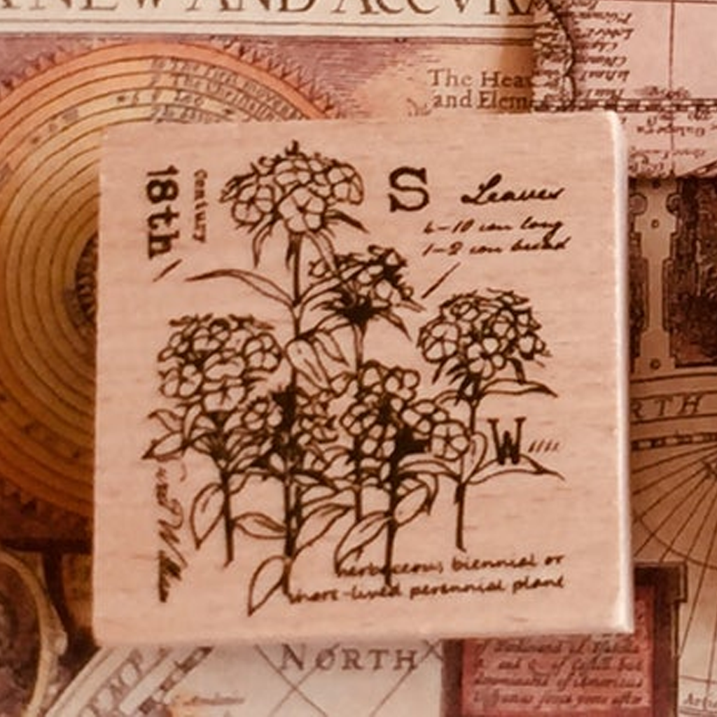 Yowoo Studio Rubber Stamp - Sweet William