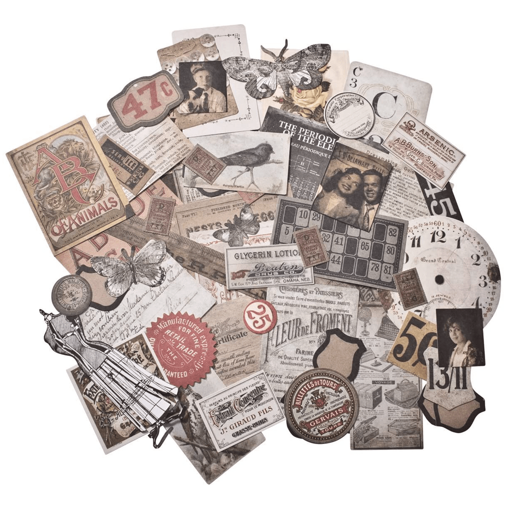 Tim Holtz Idea-Ology Vellum Ephemera Thrift Shop