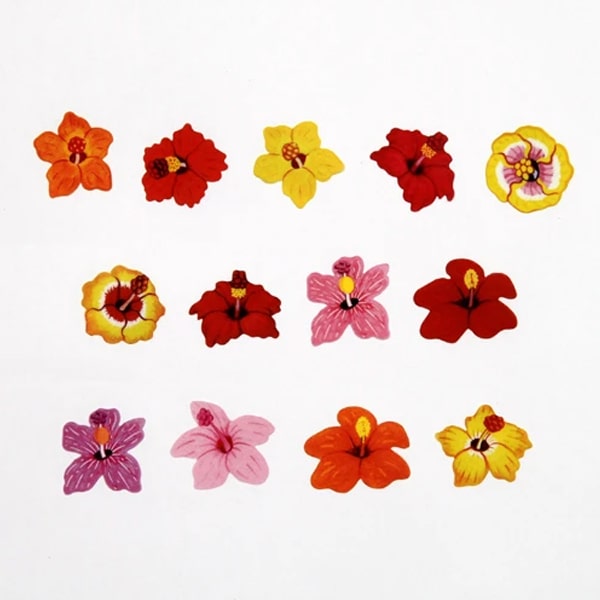 Bande Washi Roll Sticker Hibiscus
