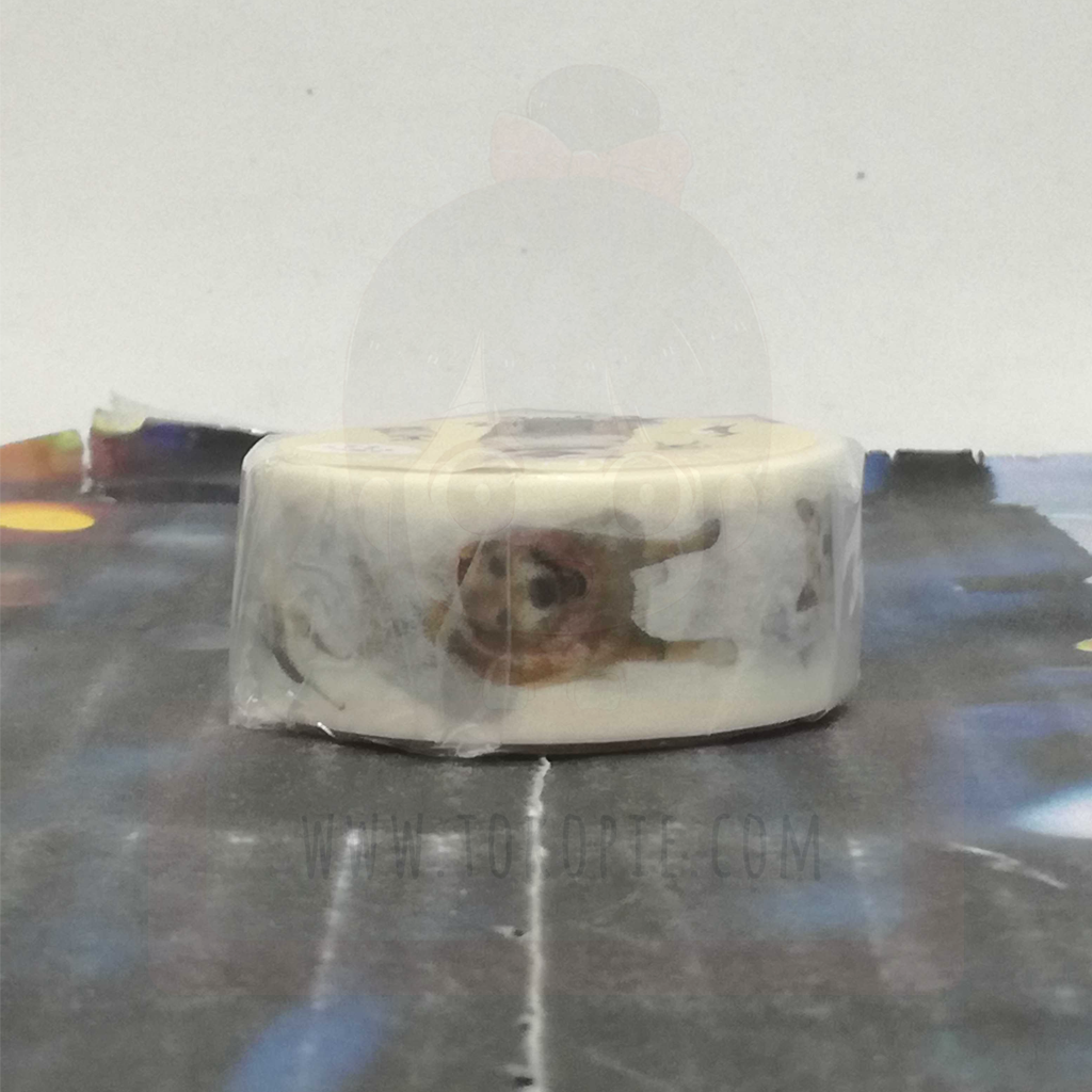 Japanese Shiba Inu Masking Tape Vertically Staggered
