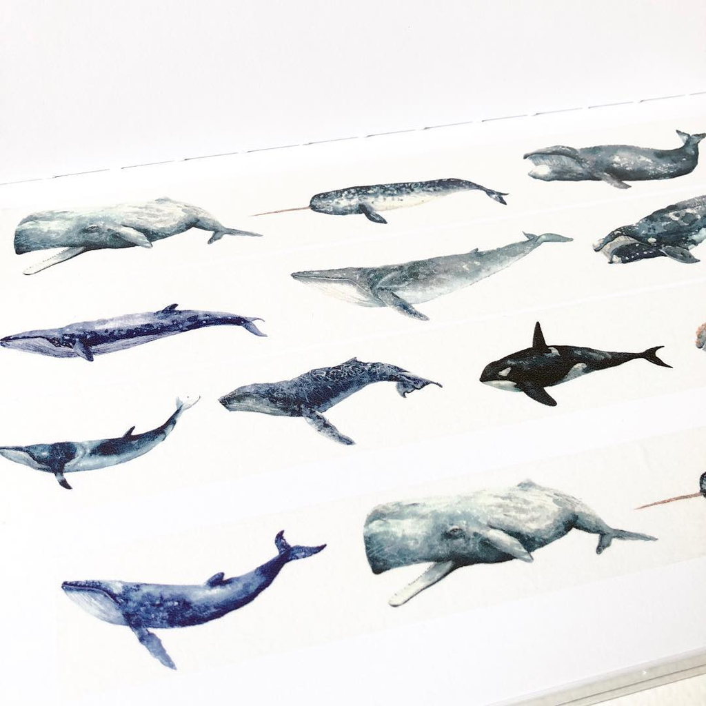Escouple Masking Tape - Whale