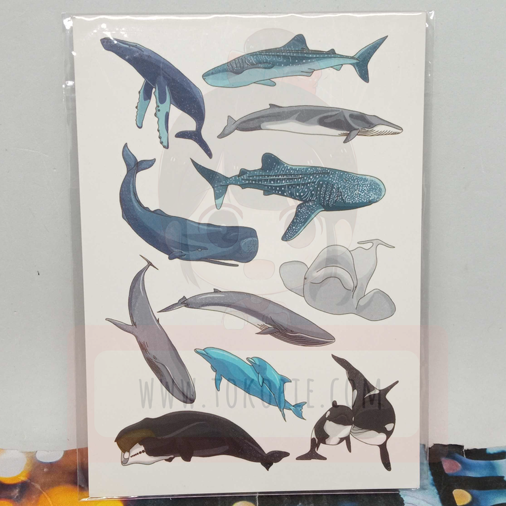 Happiness Grass Whale Variants Postcard