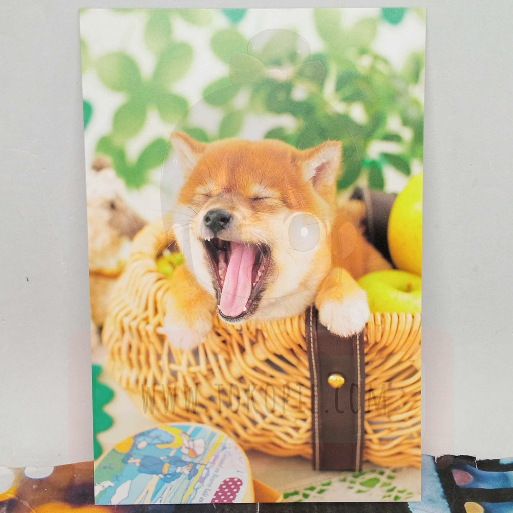 Active Corporation Yawning Dog Postcard
